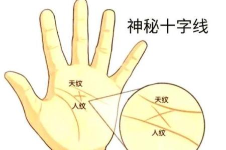 谢娜无子命理解析：如何打破命运密码的局限