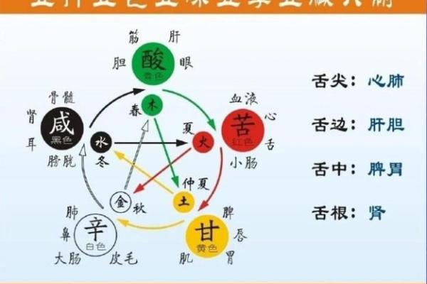 宇字五行格局实用指南：如何根据五行特点，打造完美人生？