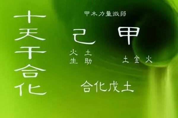 霖五行性格解析：反而这样改变能更顺畅？