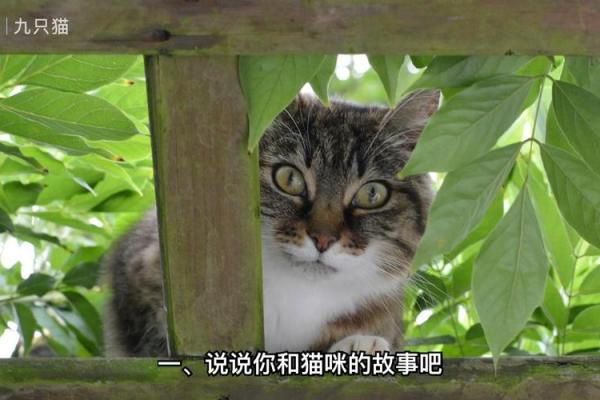 右脸长白毛，命运密码暗藏其中，你知道如何改变吗？