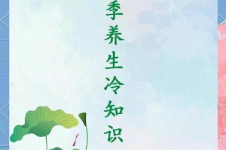 的养生智慧：夏季身体调养的小常识