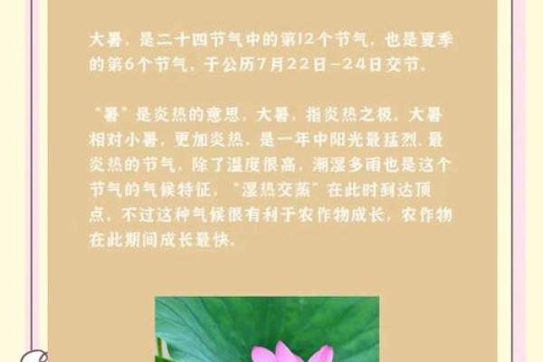 大暑：大暑时节，防暑降温的生活小技巧