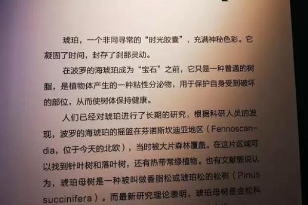 波兰国庆节的历史回顾与民族文化传承