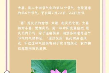 大暑：大暑时节，防暑降温的生活小技巧