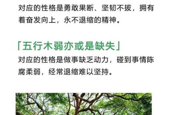 五行格局揭秘：性格解析，你了解自己的命格吗？