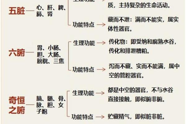 航的五行属性揭秘：性格解析与如何逆势而上，突破五行局限