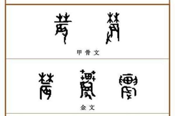 耕作之道，五行格局揭秘：耘字性格解析，揭开你的潜能之谜