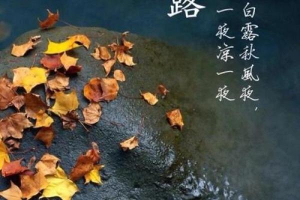 白族节日如何反映天文与季节变化