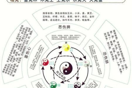 性格解析新视角：五行看屎，揭秘你的真实格局