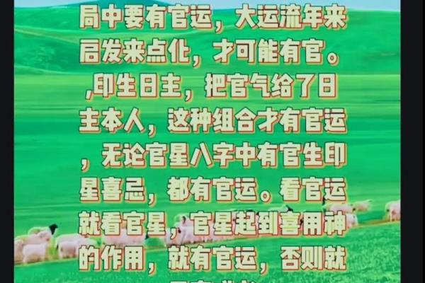 颠覆传统：如何用八字改变你的命运走向
