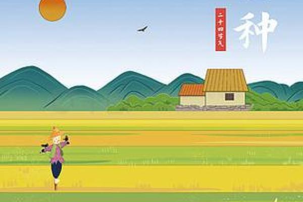 八月节气与农田管理的重要性