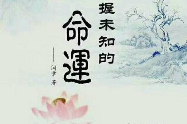 尼姑的命运密码：如何避开常见误区，掌握真正的命理玄机