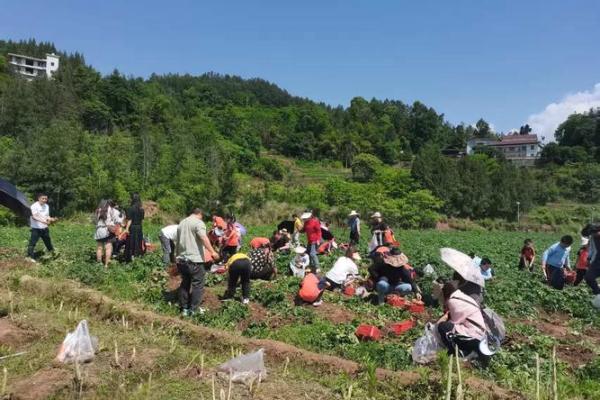 白族传统节日与农耕文化的深刻联系