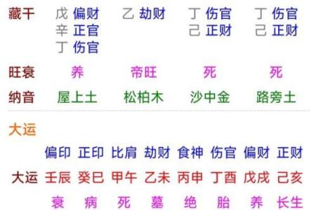 命运密码揭秘：钟义明解读八字命理中的暗藏玄机
