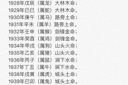 五行性格反而论：如何利用你的弱点成就大业
