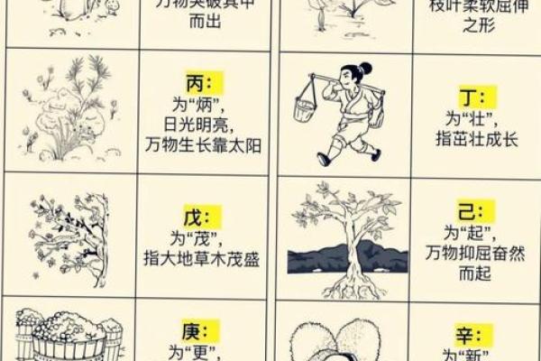 章五行性格解析：揭开你的五行格局之谜