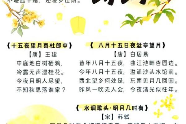 八月文化传承：从传统节日看民族风俗的演变