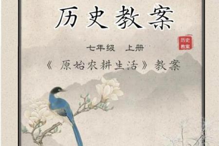 从农耕到现代生活：十一月节令背后的智慧