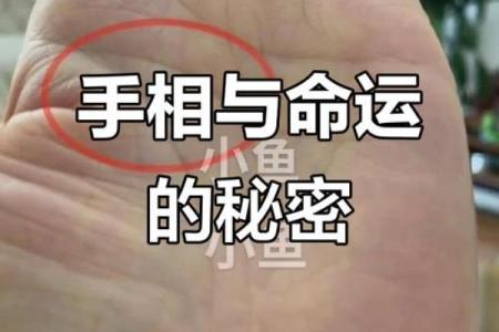 不孕之谜：八字中的命运密码与暗藏玄机