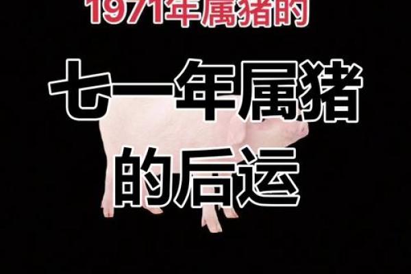 猪与五行：揭秘你的性格误区，颠覆传统认知