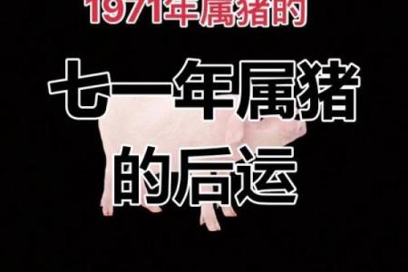 猪与五行：揭秘你的性格误区，颠覆传统认知