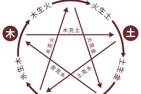 赵的五行格局，揭秘你的性格如何优化与改变？