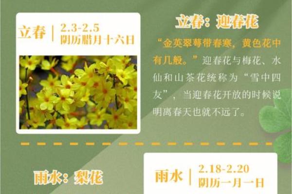傣族农耕节庆：时令与节气的深刻影响