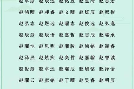 赵的五行格局，揭秘你的性格如何优化与改变？