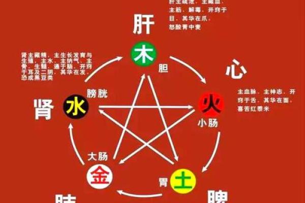 五行格局揭秘：声字性格解析，你的声音藏着怎样的命运密码？
