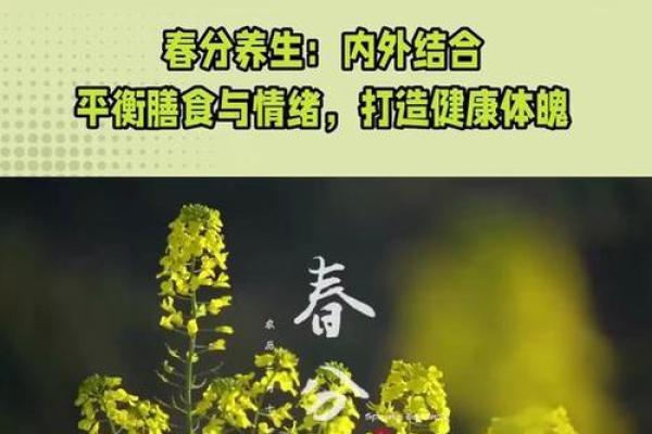 春分的别称与养生智慧