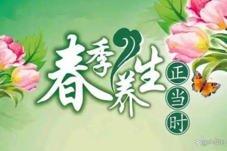 春分的别称与养生智慧