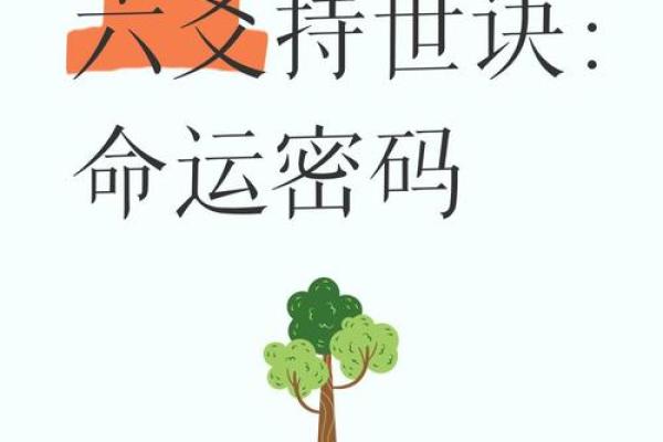 阴阳命理背后的命运密码，如何破解人生困局