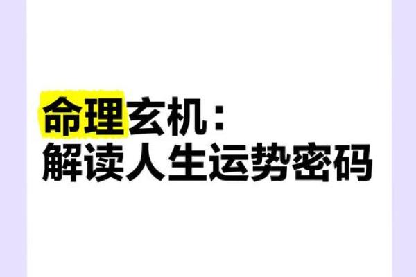 数字补命理揭秘：如何破解命运密码，揭开人生暗藏玄机