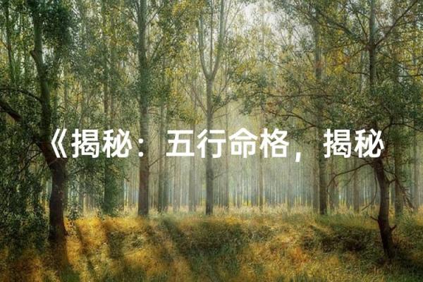 诺的五行为你揭秘性格解析的神秘面纱