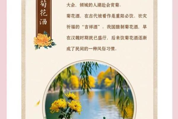 布依族重阳节的养生之道与健康理念