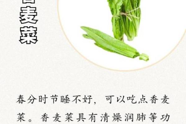 春分节气，养生与调养的最佳时机