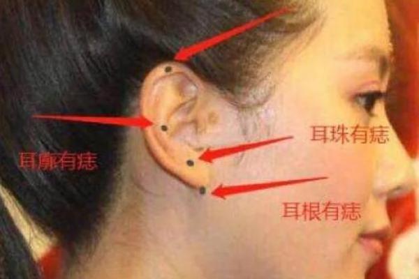 马蓉的命运密码：她的八字背后暗藏的深层玄机