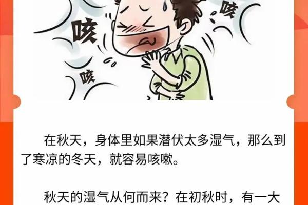 的节气与养生：如何调整作息迎接秋天