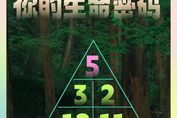 解读命运密码，八字命理助你掌控未来