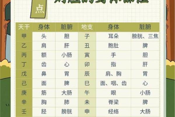 你可能误解了三丁命理的五行性格解析，反而会影响你的决策与人生选择