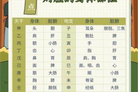 你可能误解了三丁命理的五行性格解析，反而会影响你的决策与人生选择