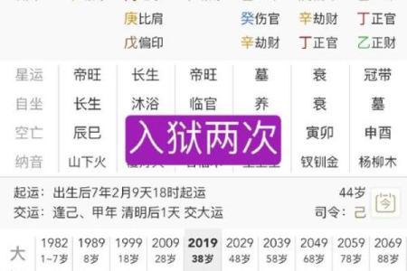 戌月命理揭秘：你可能从未注意到的命运误区