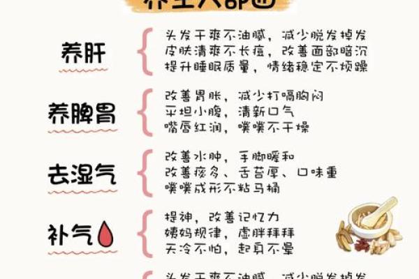 传统节日习俗与养生之道