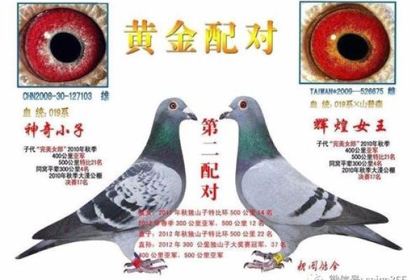 琰的五行性格解析：反而通过弱点找到成功的捷径