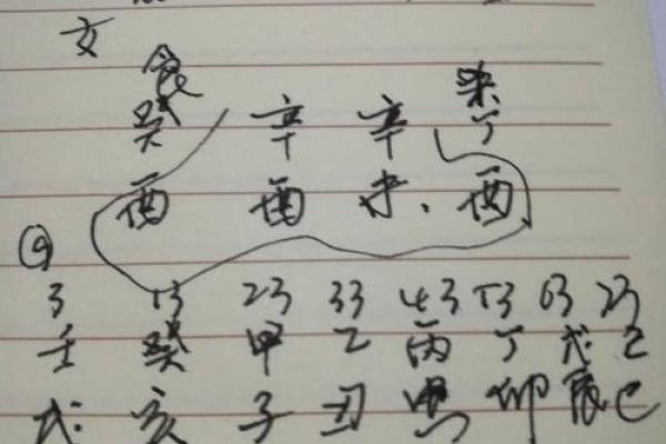 探秘李小璐的八字命理：命运密码是否能被改变？