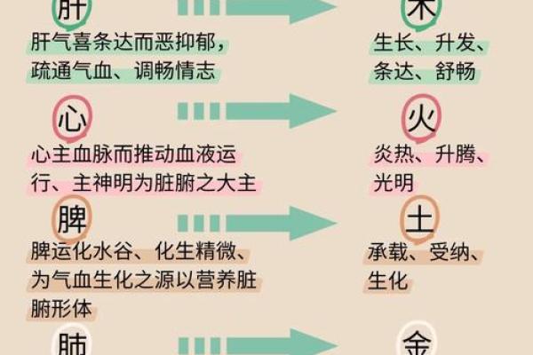 复字五行揭秘：性格解析新视角，如何改变命运格局？