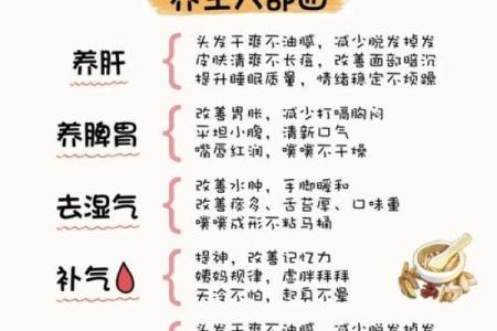 传统节日习俗与养生之道