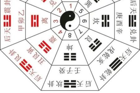 甲午命理中的命运密码，隐藏的玄机如何让你逆袭人生