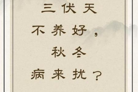 冬至与阴阳调和：如何在寒冷中保持健康