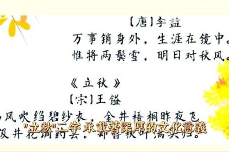 的传统习俗，品味秋天的美好